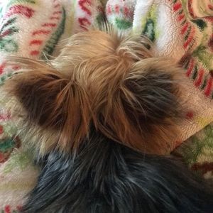 Meet your Posher, Michelle